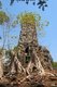Cambodia: Preah Palilay, Angkor Thom, Angkor